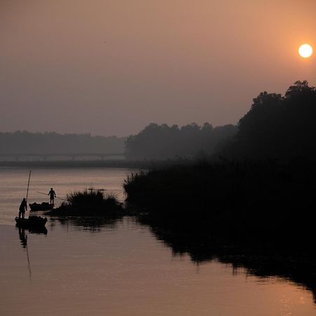 Jungle Villa Resort - Near Chitwan National Park Dış mekan fotoğraf